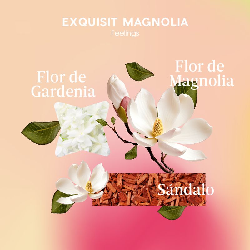 Notas-olfativas_EXQUISIT-MAGNOLIA