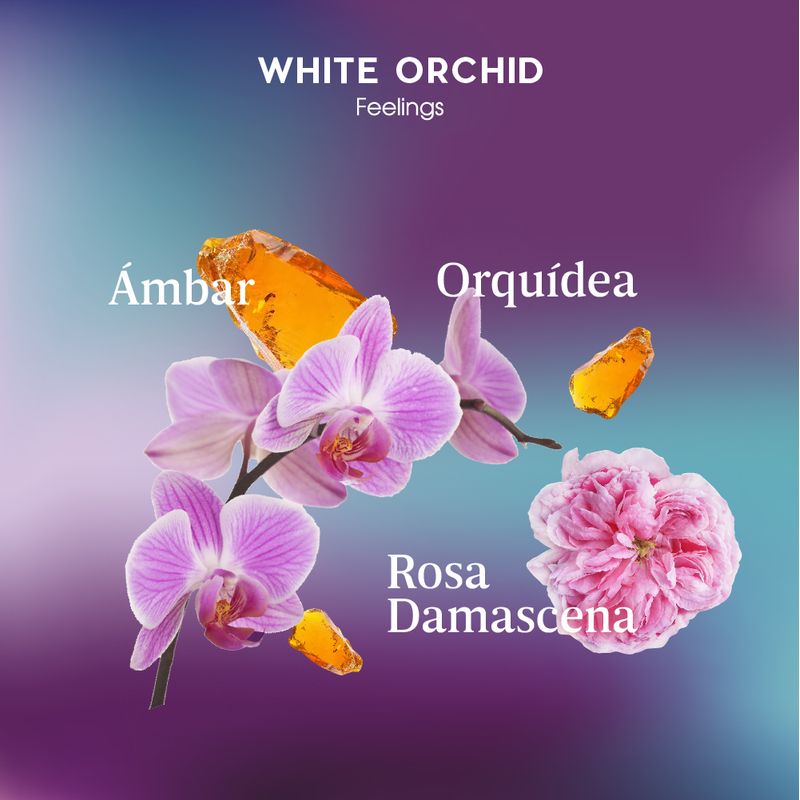 Notas-olfativas_WHITE-ORCHID