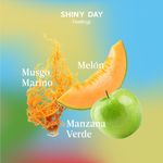 Notas-olfativas_SHINY-DAY