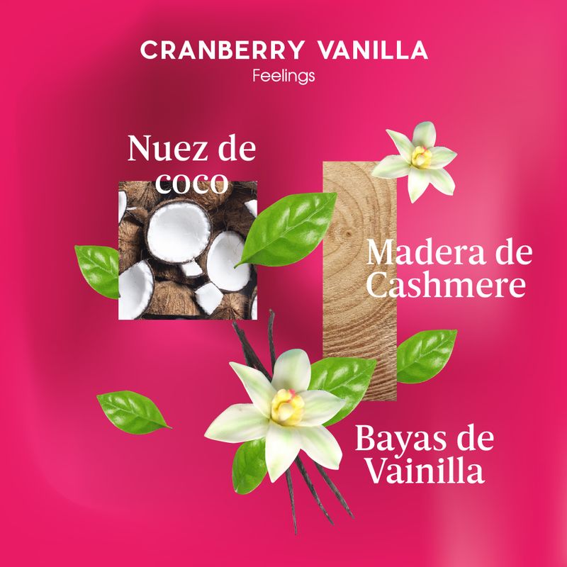 Notas-olfativas_CRANBERRY-VANILLA