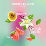 Notas-olfativas_INFUSION-DE-VENUS