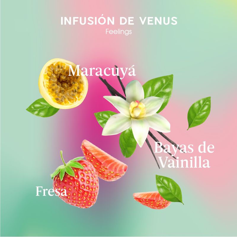 Notas-olfativas_INFUSION-DE-VENUS