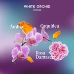 Notas-olfativas_WHITE-ORCHID