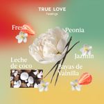 Notas-olfativas_TRUE-LOVE